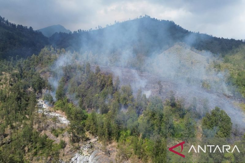 Pemkab Banyuwangi tetapkan Status Tanggap Darurat Karhutla TWA Ijen